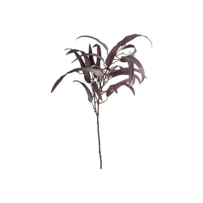 Hovedbilde Eukalyptus stilk 85cm 